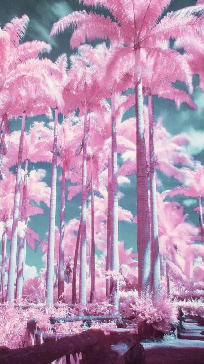 豪华水疗中心